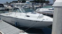 Seaswirl Striper 2600 Sport Cabin I/O